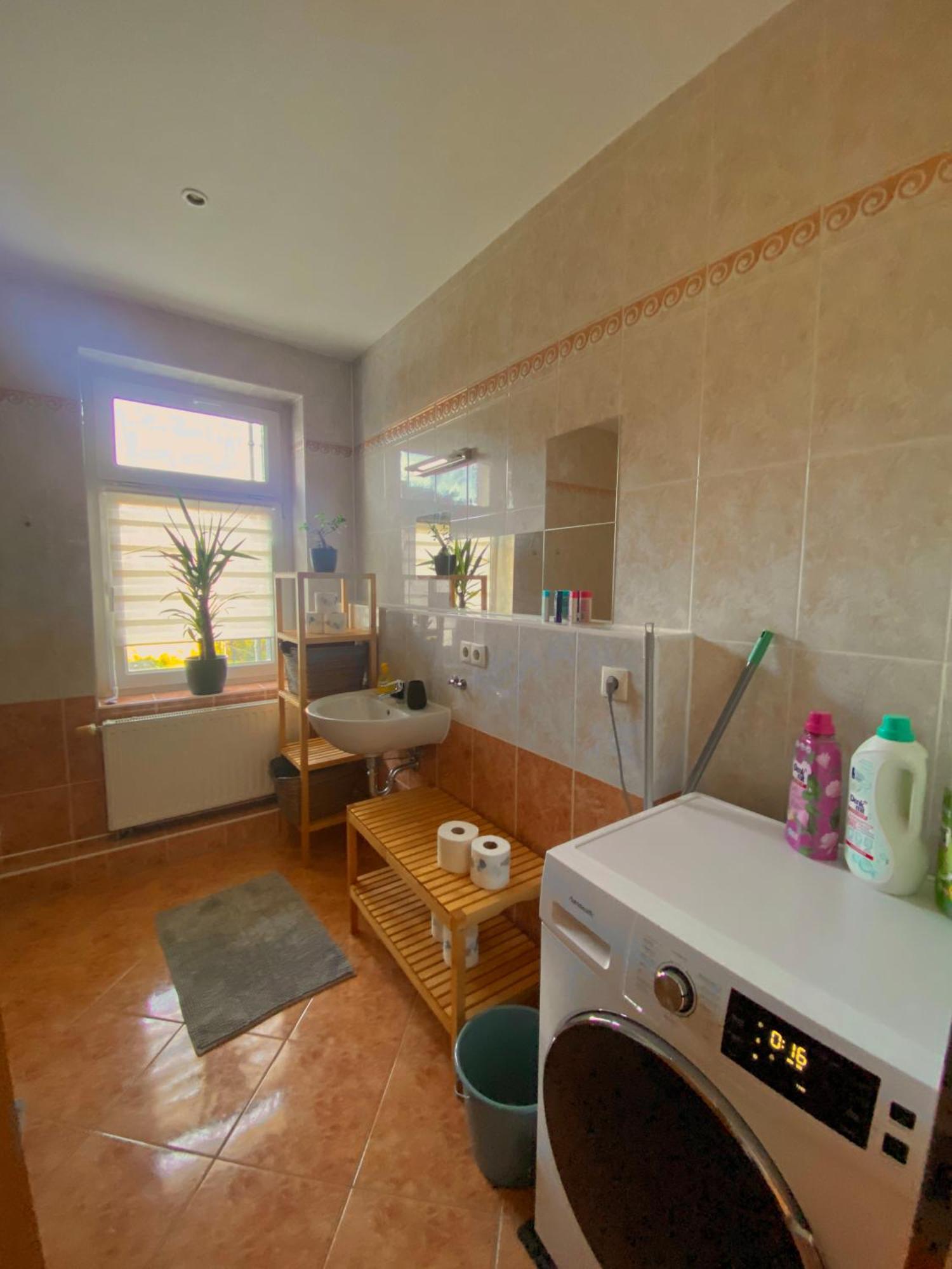 Schoene 3-Zimmer Monteurswohnung Im Sueden Von Leipzig Eg Ngoại thất bức ảnh