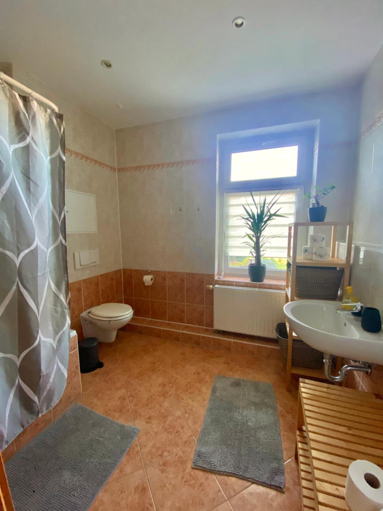 Schoene 3-Zimmer Monteurswohnung Im Sueden Von Leipzig Eg Ngoại thất bức ảnh